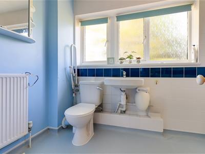 Picture 17